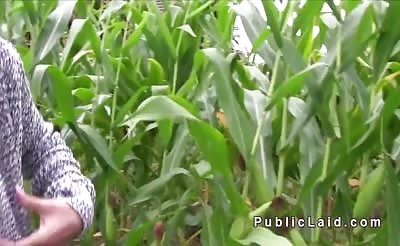 Busty Czech babe fucks in corn field for money