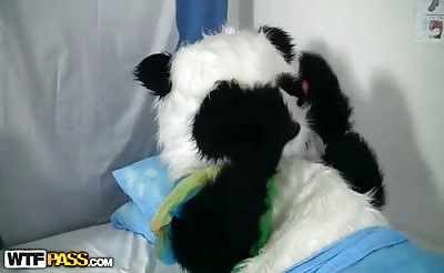 Dirty sex to cure a sick panda